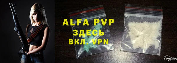 стаф Арсеньев