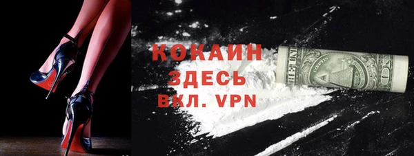 стаф Арсеньев