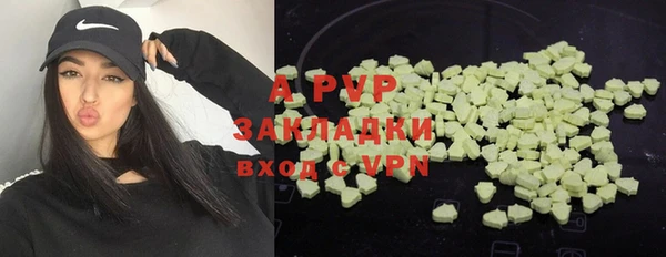 стаф Арсеньев