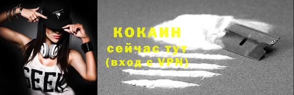 стаф Арсеньев