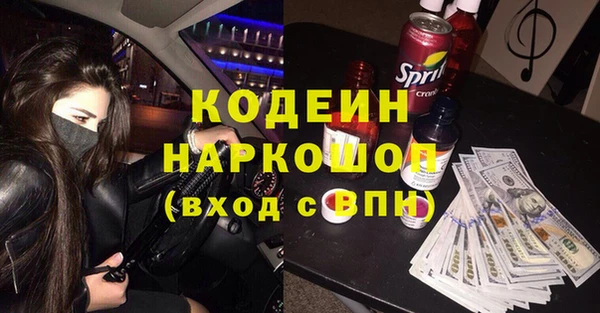 стаф Арсеньев