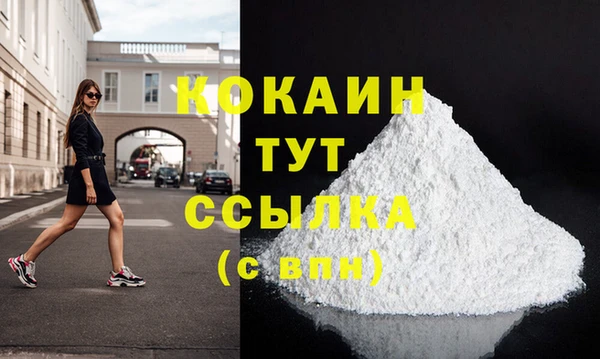 стаф Арсеньев