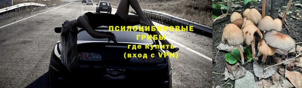 хмурый Армянск