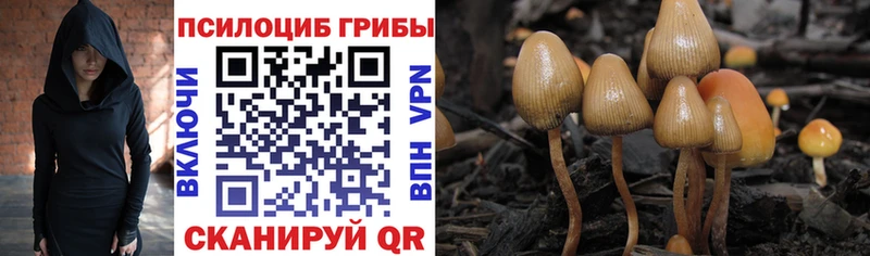 Галлюциногенные грибы Magic Shrooms Сальск