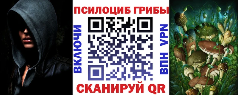 Галлюциногенные грибы Cubensis  наркотики  Сальск 